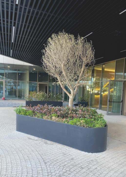 Modüler Avlu Saksısı 04 görsel 2