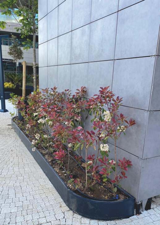 Yüksek Gövdeli Saksı 05 görseli