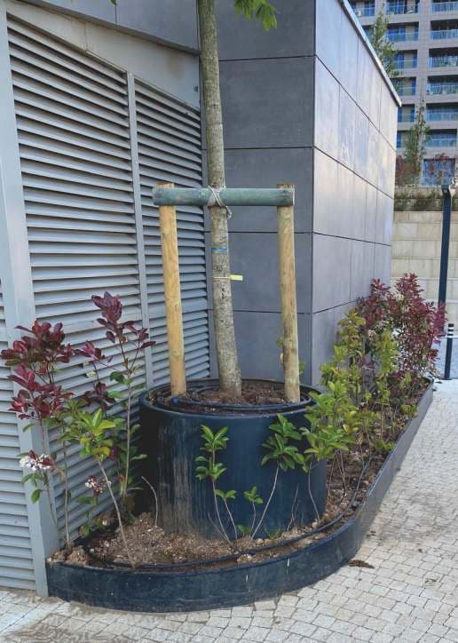 Yüksek Gövdeli Saksı 05 görsel 2