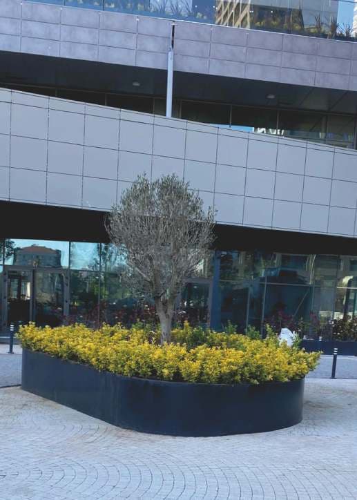 Yüksek Gövdeli Saksı 05 görsel 3