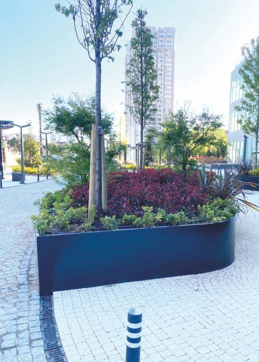 Yüksek Gövdeli Saksı 05 görsel 4