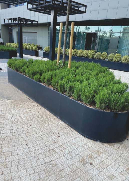 Kademeli Saksı Kompozisyonu 07 görsel 4