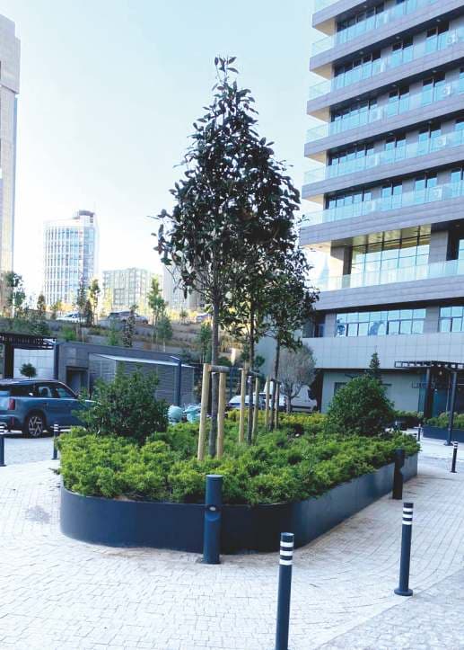 Radyal Saksı Serisi 08 görsel 2