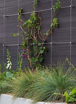 Yaprak Desenli Bitki Duvarı 01 görseli