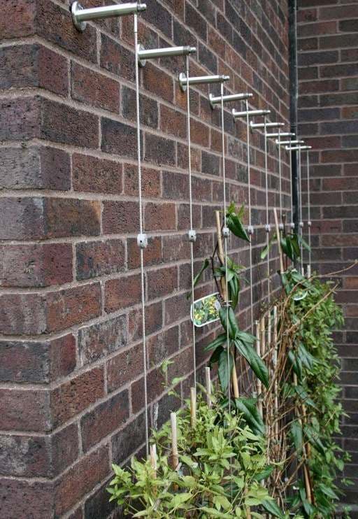 Yaprak Desenli Bitki Duvarı 01 görsel 2