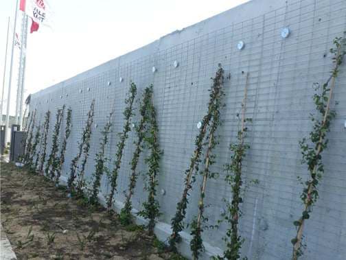 Örgü Form Bitki Paneli 02