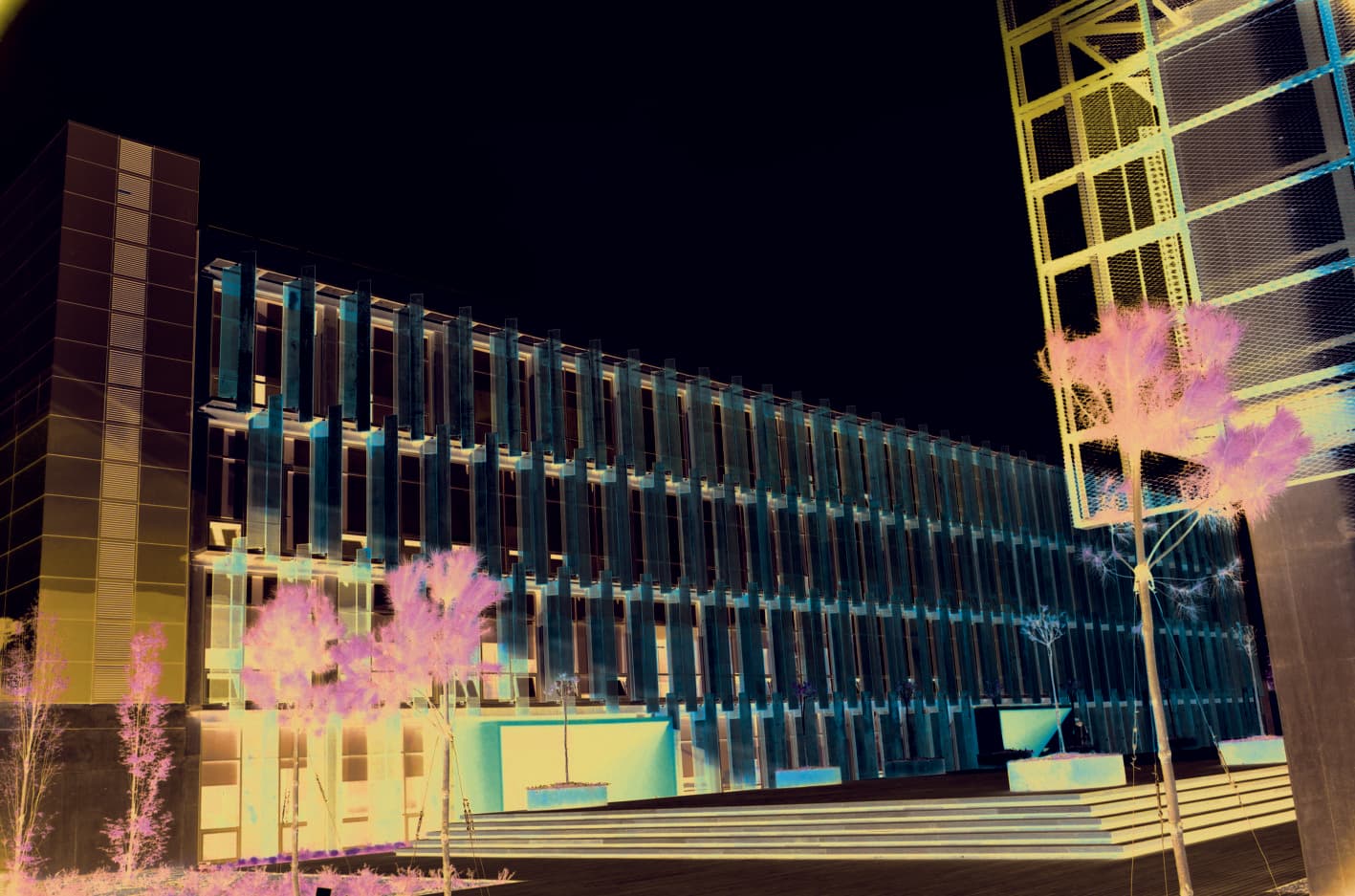 Piri Reis Üniversitesi